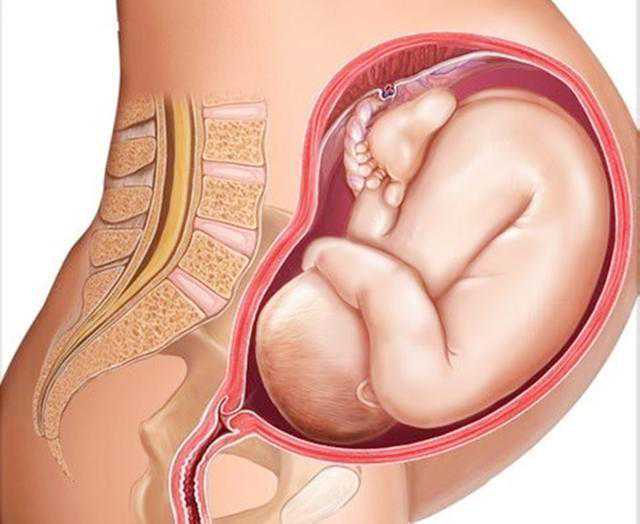 武汉代孕套餐价格,武汉试管婴儿价格(武汉拉拉试管婴儿)