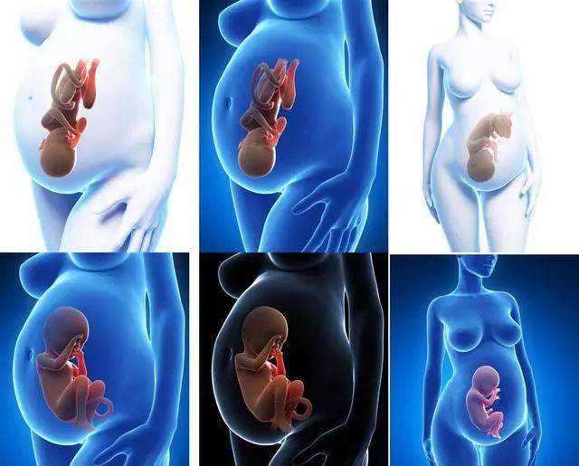 温州寺庙大殿放的音乐,如何超度婴灵最有效，超度堕胎婴表文表文_1