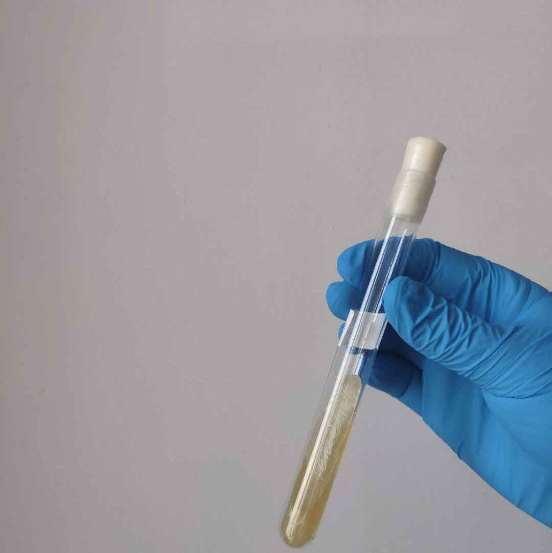 福建求姻缘哪个寺庙最灵验,犯太岁去寺庙怎么说：犯太岁去寺庙化太岁可以吗