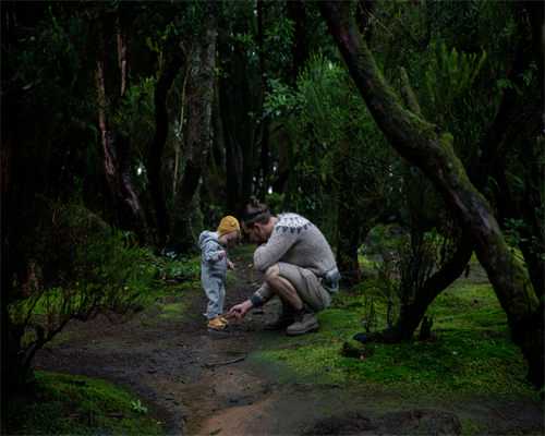 武汉试管借卵代怀,武汉*试管费用多少钱