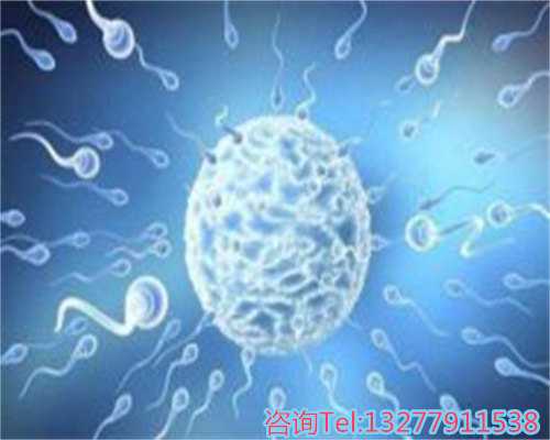 武汉供卵试管助孕机构介绍,2026武汉供卵试管医院-代孕生殖价格