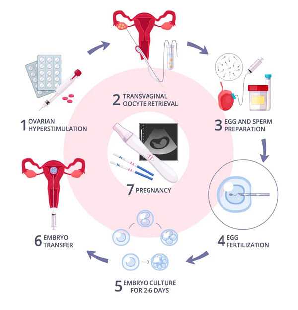 武汉正规供卵中心 武汉生物新冠疫苗打几针 ‘32周双顶径看男女’