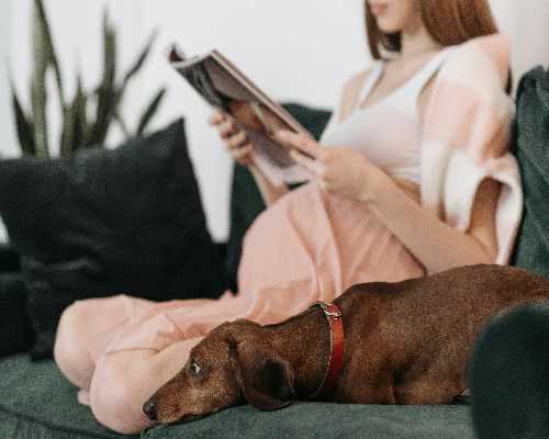 南京道士超度亡灵经文,和合法事：和合法事49天还没效果要请师傅加持